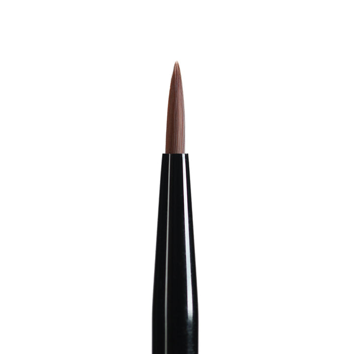 Ray Studio Model Kit Pointed & Flat Brush