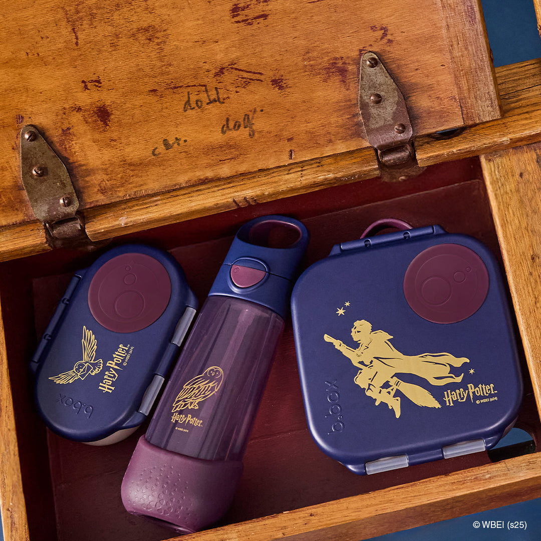 Harry Potter mini lunch box displayed in a trunk beside coordinating accessories