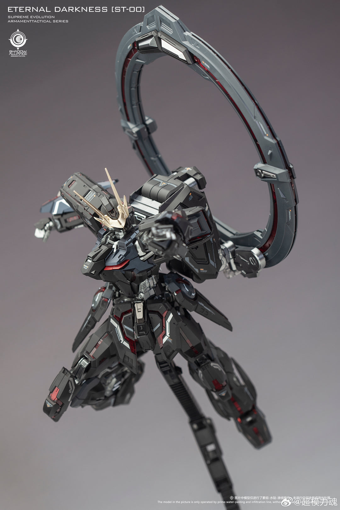 Supreme Evolution - MG 1/100 Eternal Darkness Form