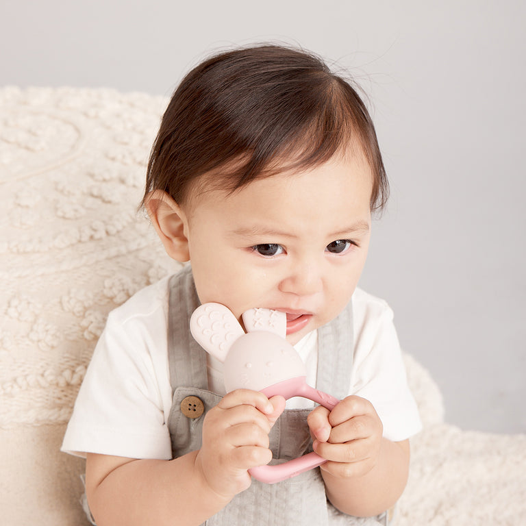B.Box - Chill + Fill Teether  Blush