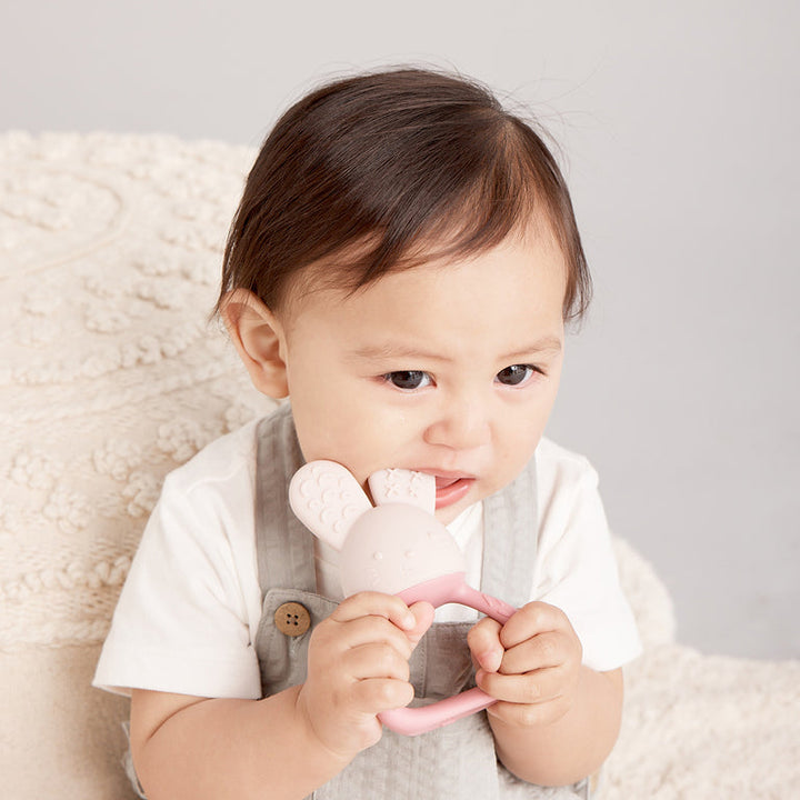 B.Box - Chill + Fill Teether  Blush