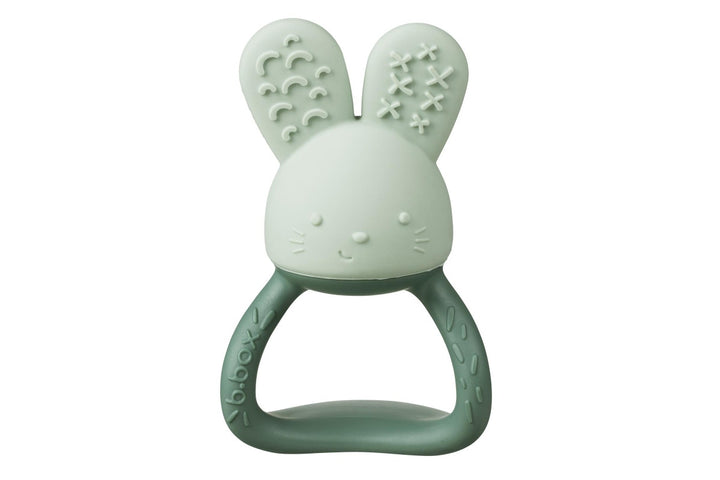 B.Box - Chill + Fill Teether Sage