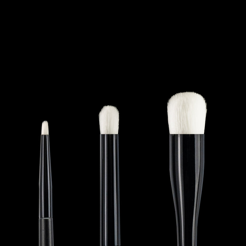 Ray Studio Modeling Dry Brush