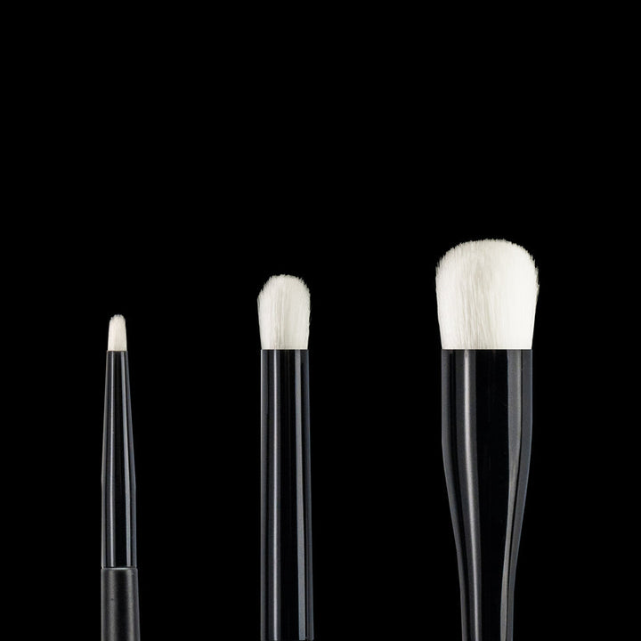 Ray Studio Modeling Dry Brush