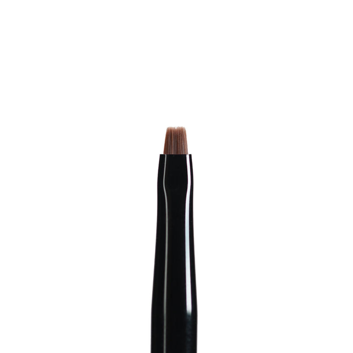 Ray Studio Model Kit Pointed & Flat Brush