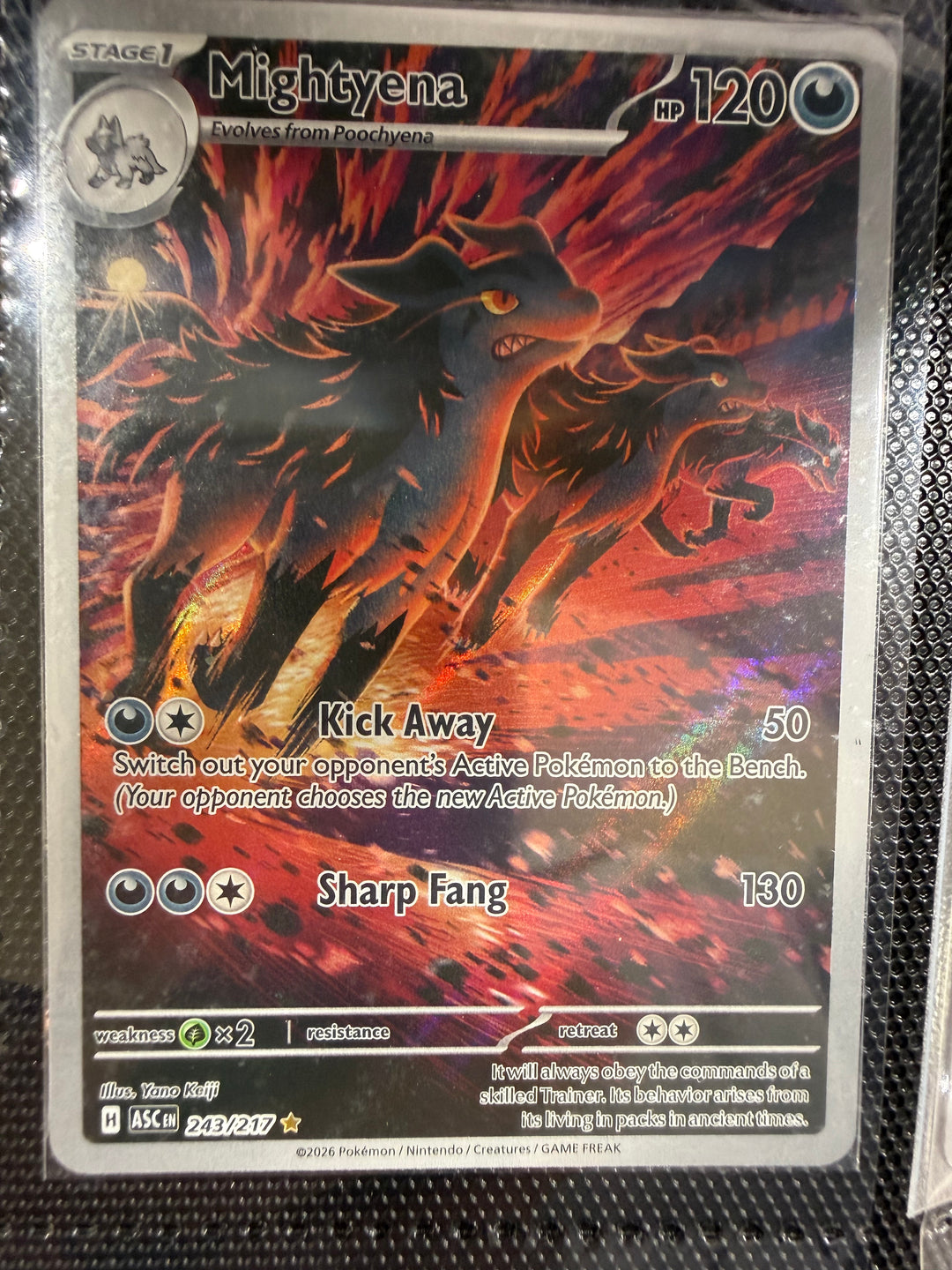 Pokemon TCG - Single Cards