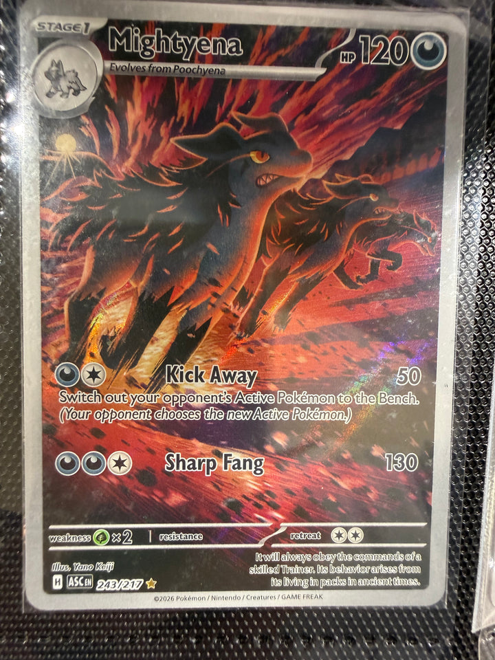 Pokemon TCG - Single Cards