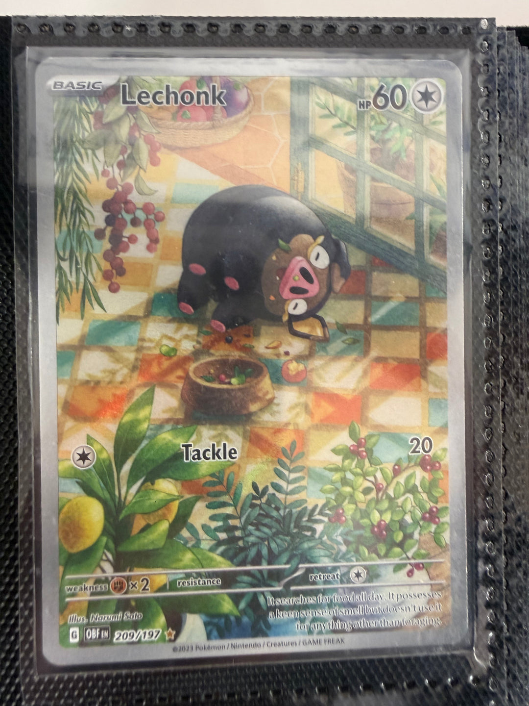 Pokemon TCG - Single Cards