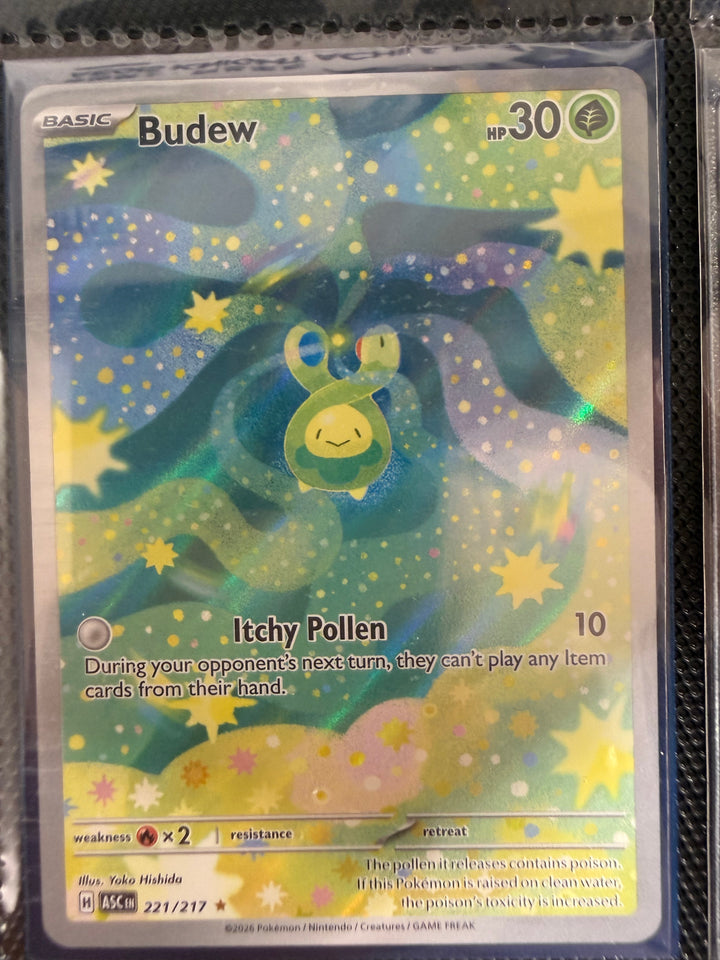 Pokemon TCG - Single Cards