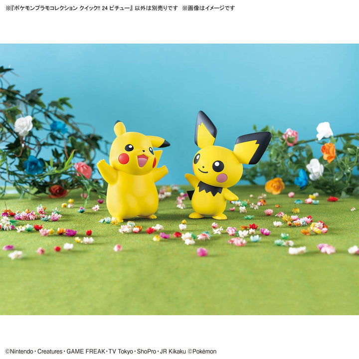 POKEMON - Pokemon Quick!! 24 Pichu Model Kit
