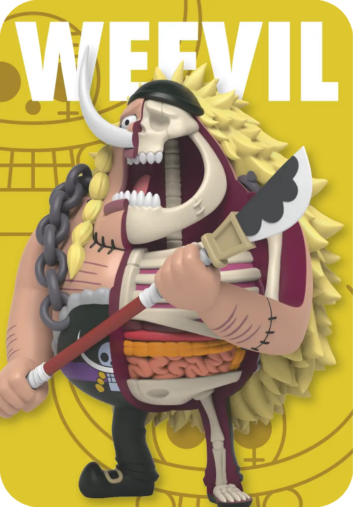 Mighty Jaxx - One Piece Freeny's Hidden Dissectibles (Warlords Edition) Blind Box