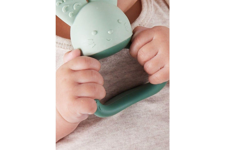 B.Box - Chill + Fill Teether Sage