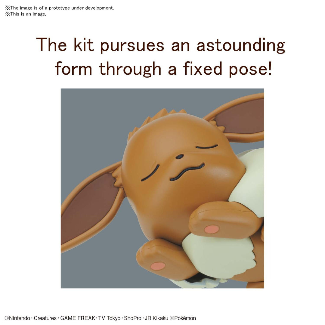POKEMON - Model Kit Quick!! 07 Eevee Sleeping Pose