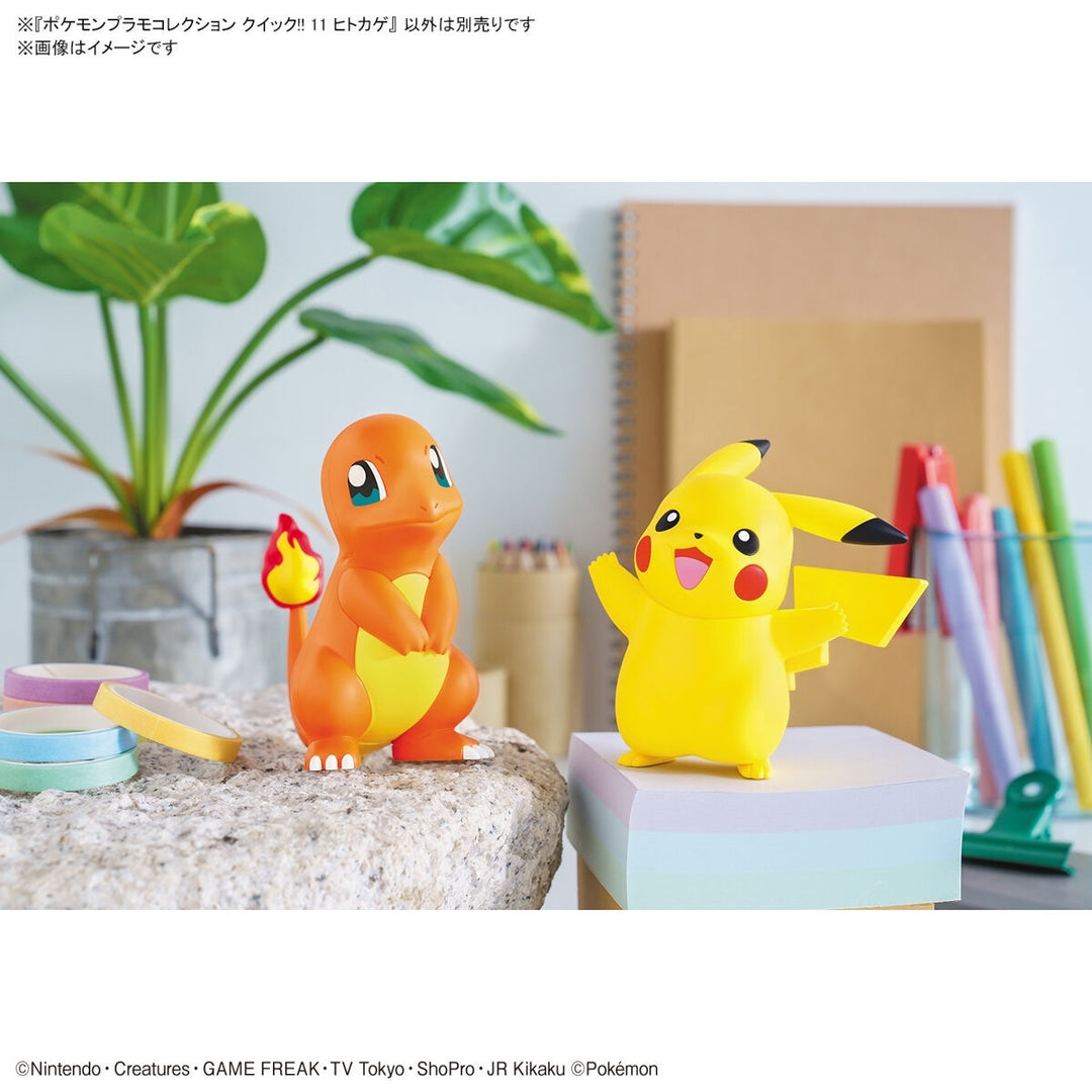 POKEMON - Model Kit Quick!! 11 Charmander