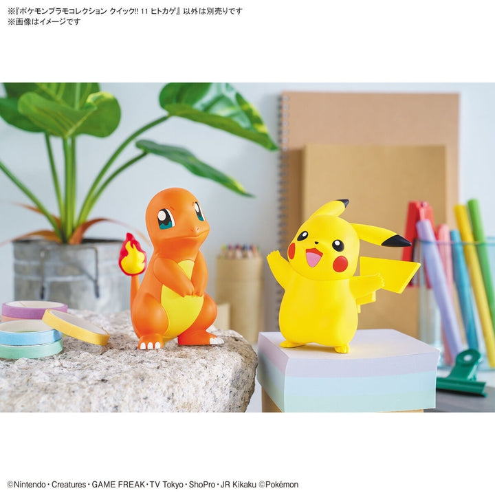 POKEMON - Model Kit Quick!! 11 Charmander