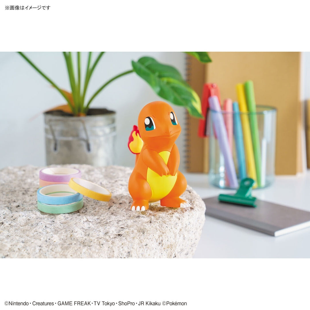 POKEMON - Model Kit Quick!! 11 Charmander