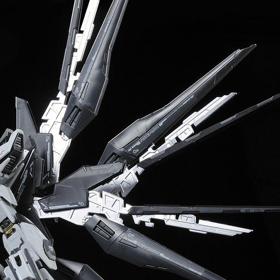 GUNDAM - P-Bandai: RG 1/144 Strike Freedom Gundam (Deactive mode) [PRE-ORDER]