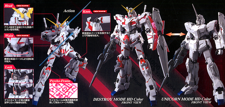 GUNDAM - MG 1/100 Unicorn Gundam HD Colour + MS Cage