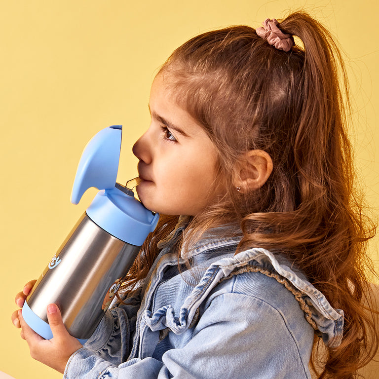 B.Box - Bluey Insulated Drink Bottle - Bluey & Bingo 350ml