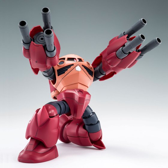 GUNDAM - P-Bandai  HG 1/144 Amazing Z'GOK