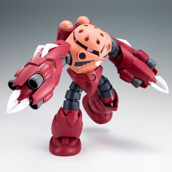GUNDAM - P-Bandai  HG 1/144 Amazing Z'GOK