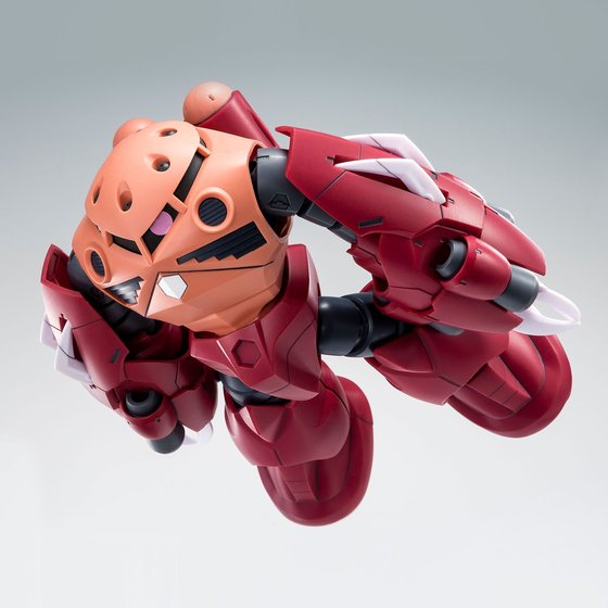GUNDAM - P-Bandai  HG 1/144 Amazing Z'GOK