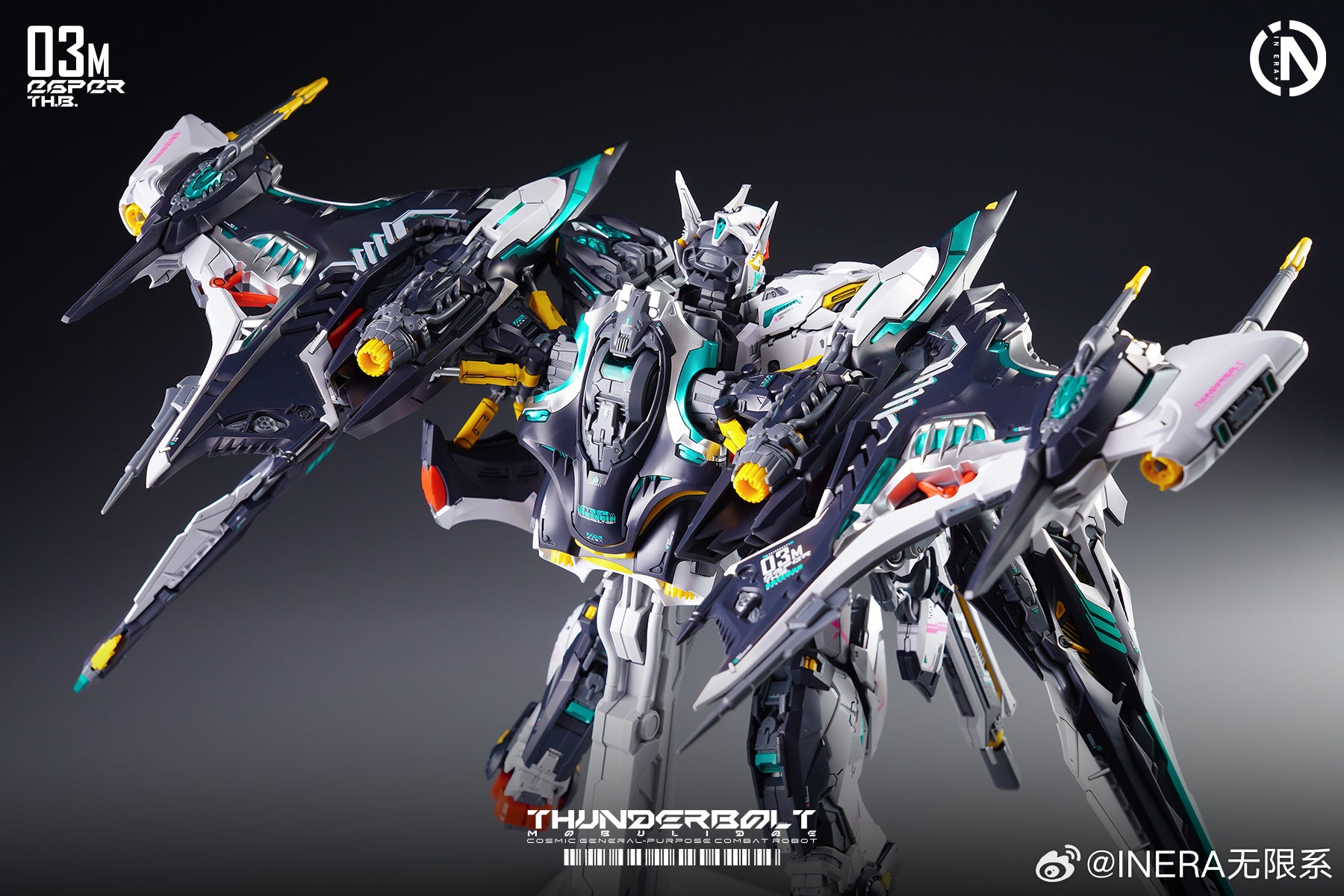 Infinite Dimensions - MG 1/100 RMD Thunderbolt with Manta Ray