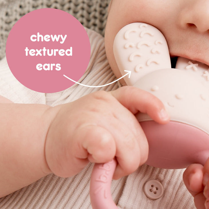 B.Box - Chill + Fill Teether  Blush