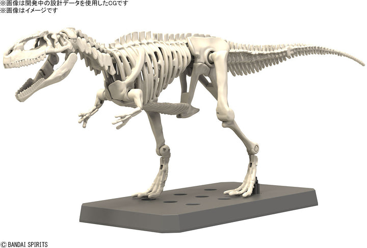 Real Science - Plannosaurus Giganotosaurus Model Kit