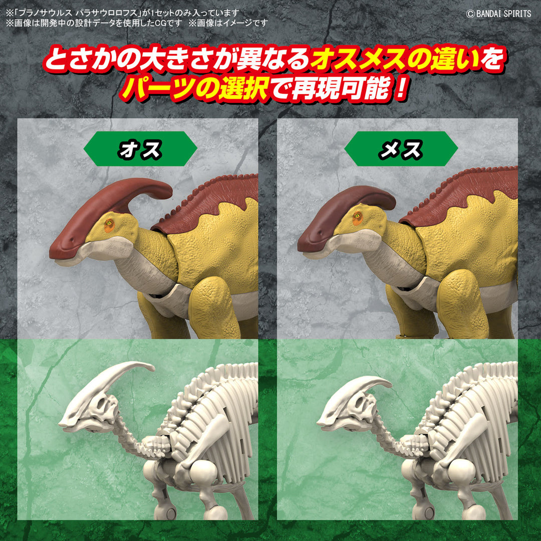Real Science - Plannosaurus Parasaurolophus Model Kit