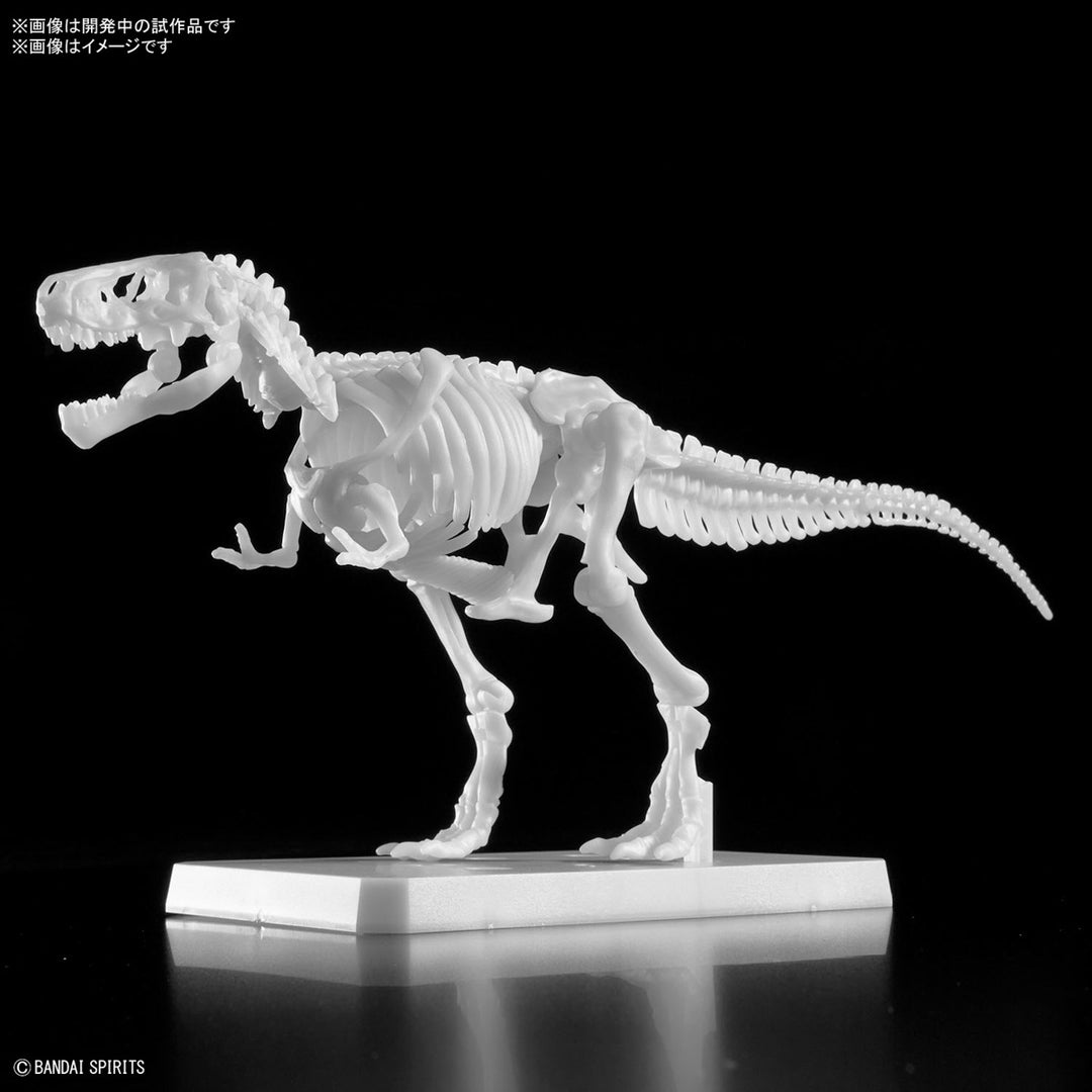 Real Science - Plannosaurus Tyrannosaurus Painting Ver. Model Kit