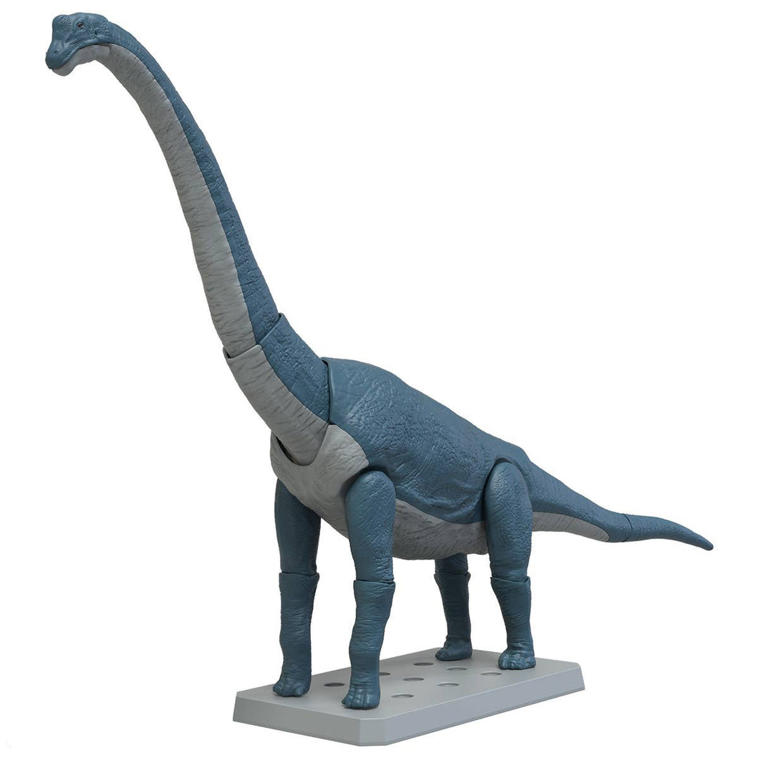 Real Science - Plannosaurus Brachiosaurus