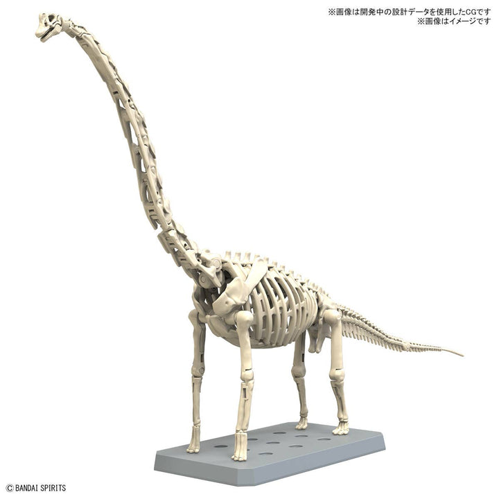 Real Science - Plannosaurus Brachiosaurus