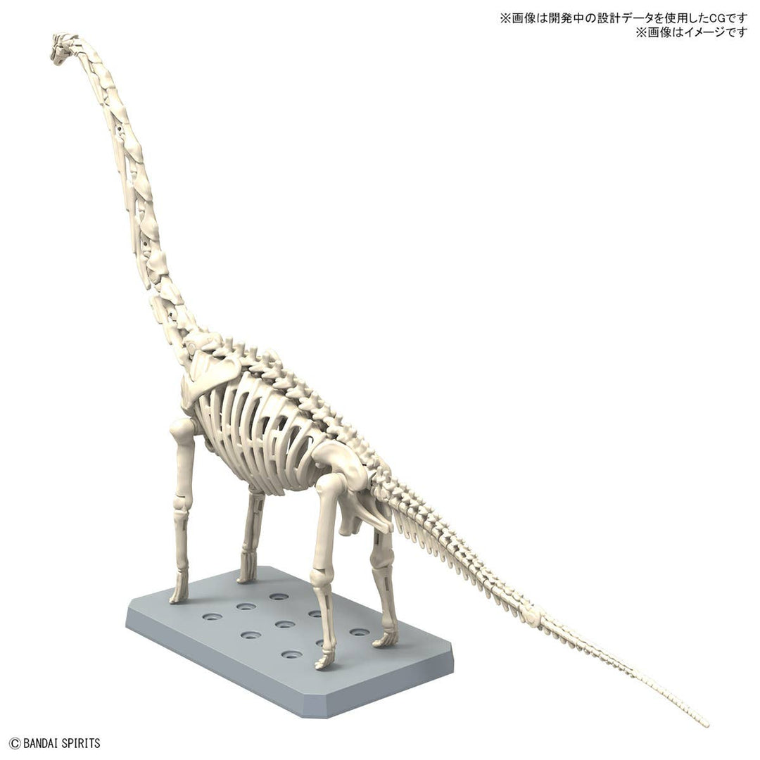 Real Science - Plannosaurus Brachiosaurus