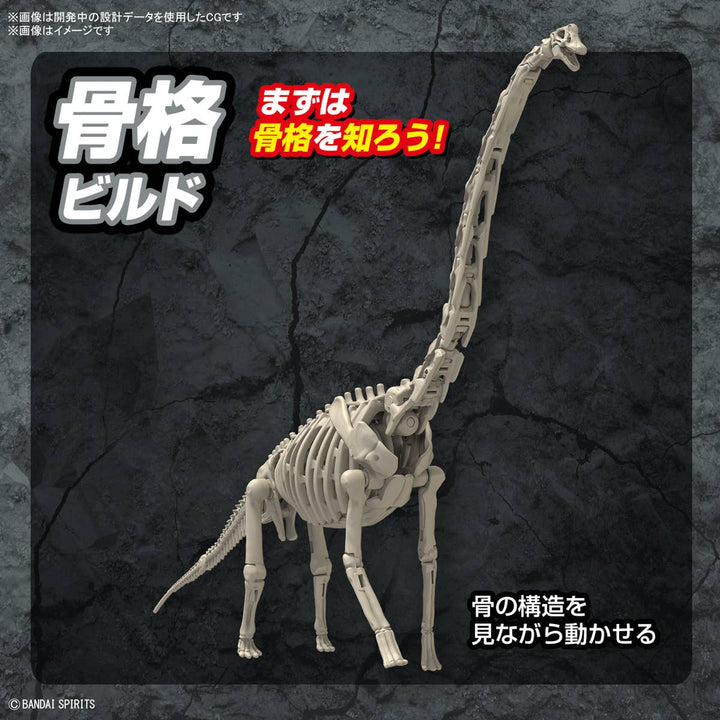 Real Science - Plannosaurus Brachiosaurus