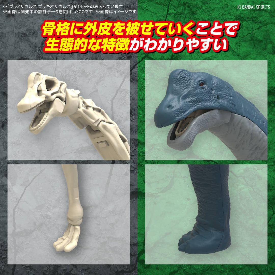 Real Science - Plannosaurus Brachiosaurus