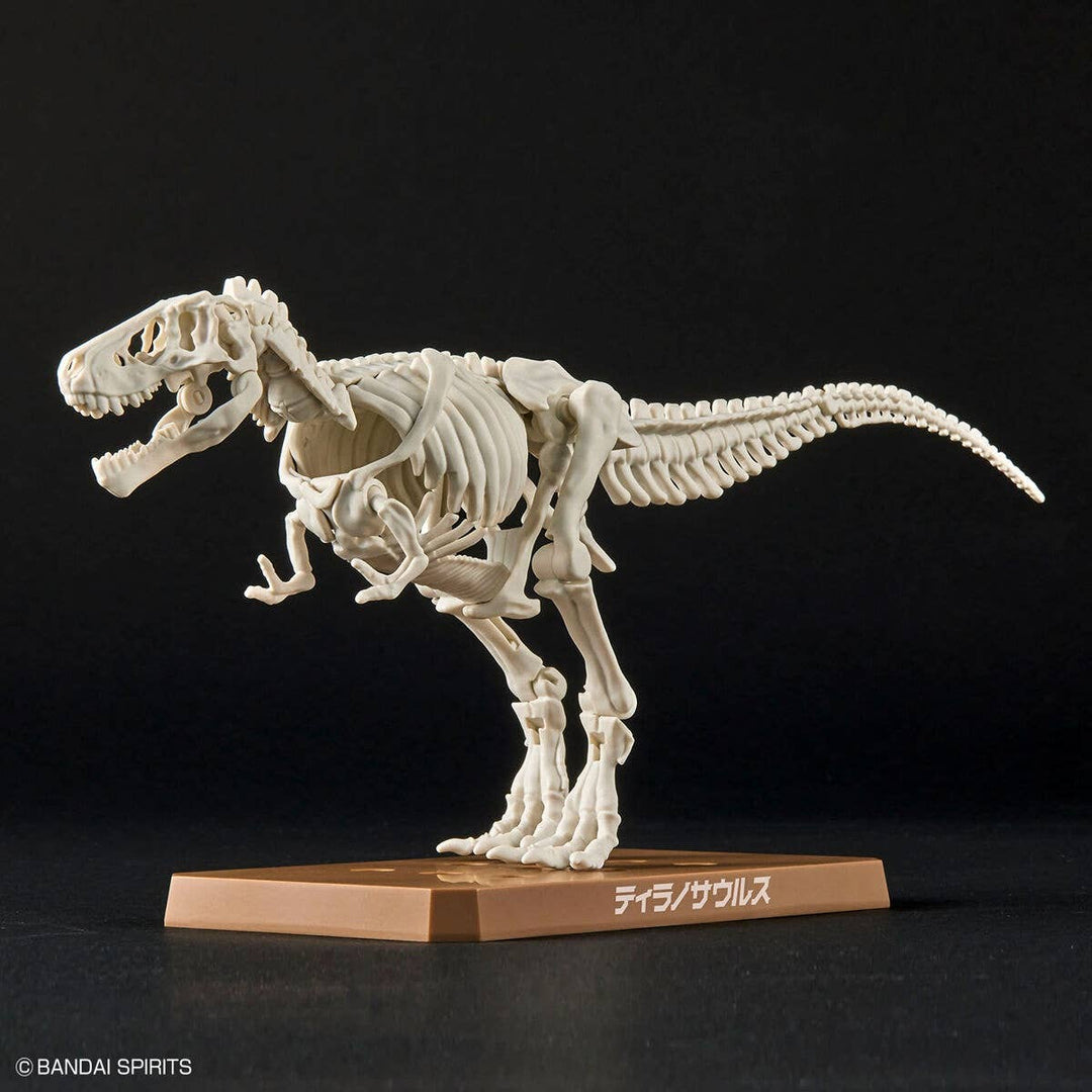 Real Science - Plannosaurus Tyrannosaurus
