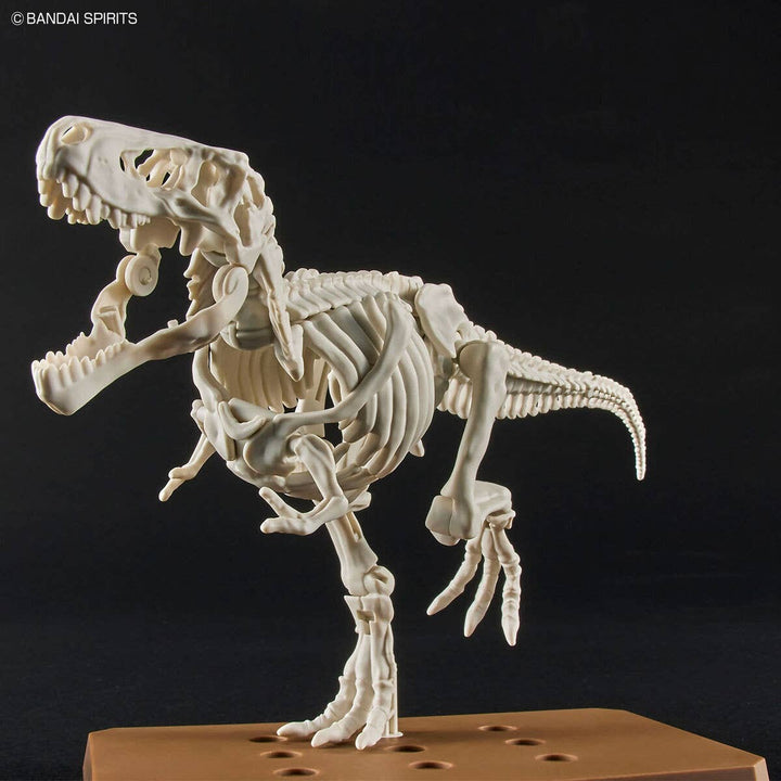 Real Science - Plannosaurus Tyrannosaurus