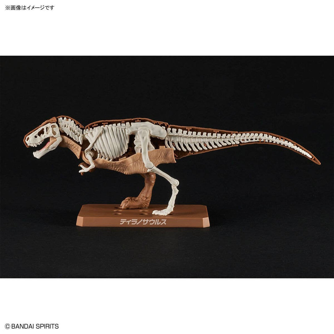 Real Science - Plannosaurus Tyrannosaurus