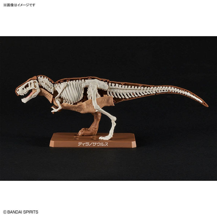 Real Science - Plannosaurus Tyrannosaurus