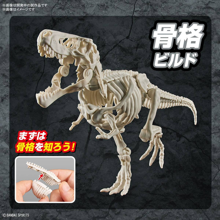 Real Science - Plannosaurus Tyrannosaurus