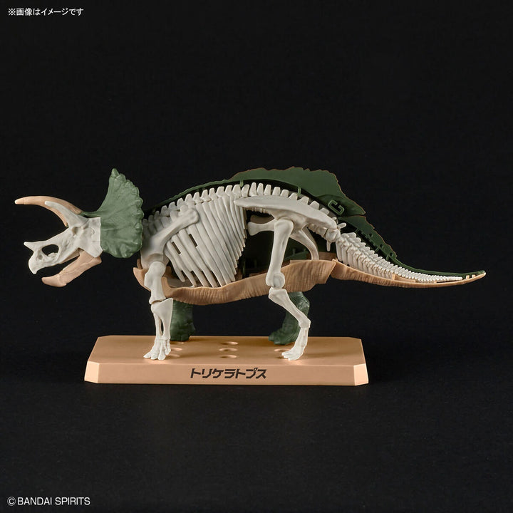 Real Science - Plannosaurus Triceratops Model Kit