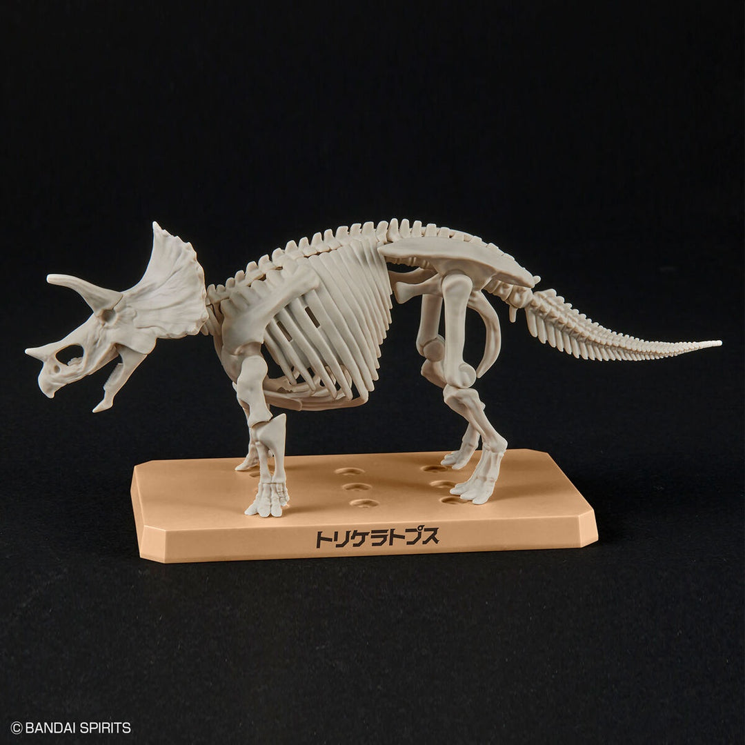 Real Science - Plannosaurus Triceratops Model Kit