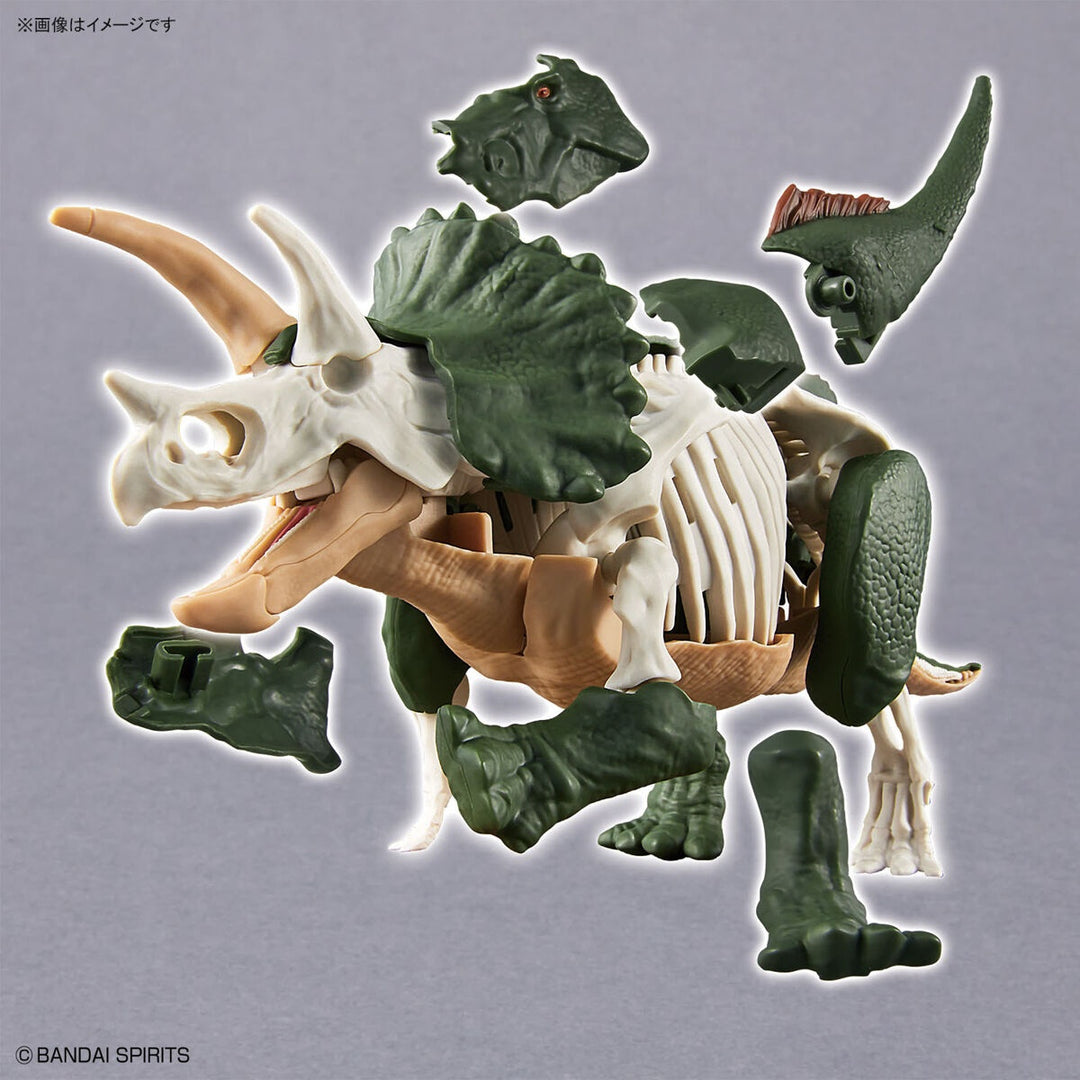 Real Science - Plannosaurus Triceratops Model Kit