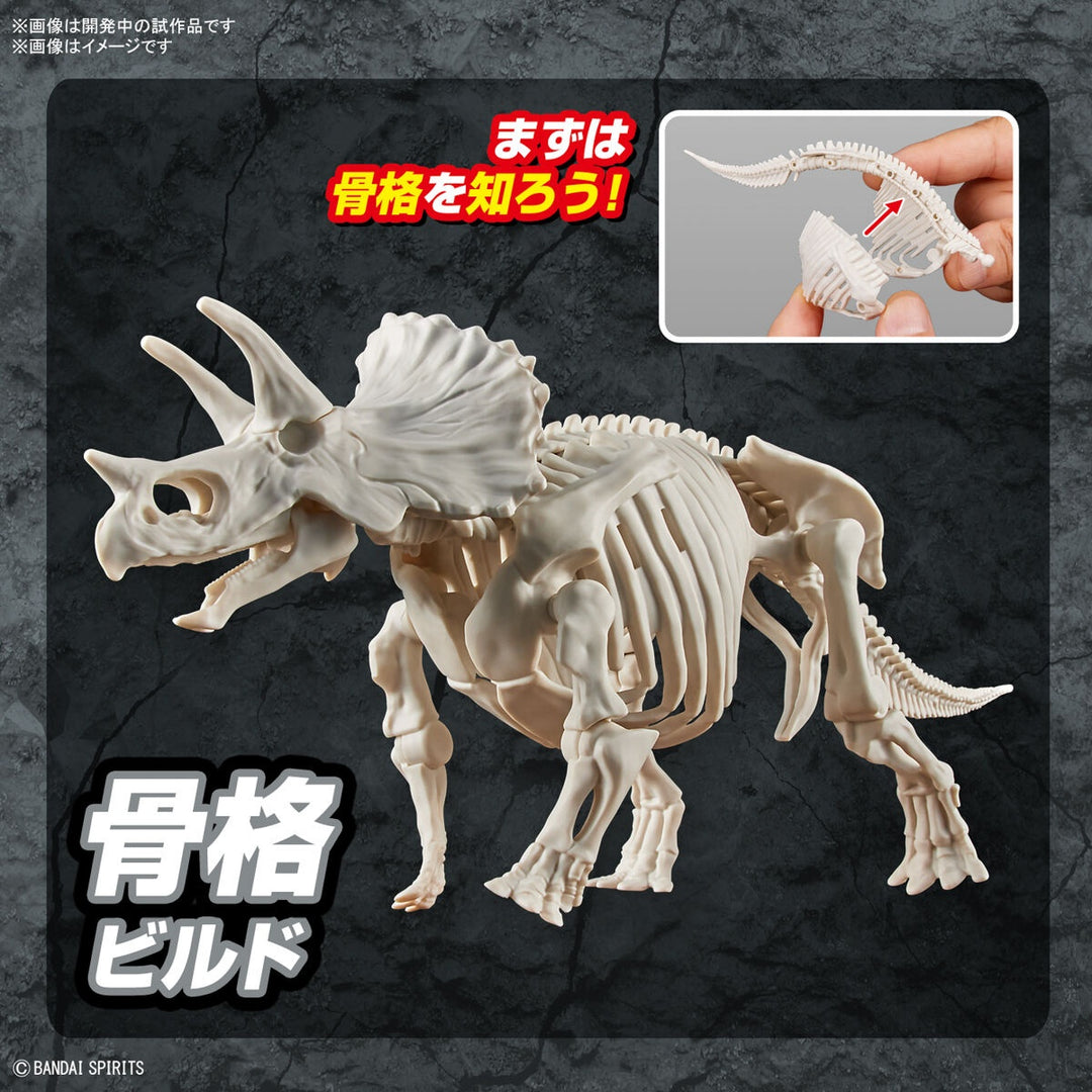 Real Science - Plannosaurus Triceratops Model Kit