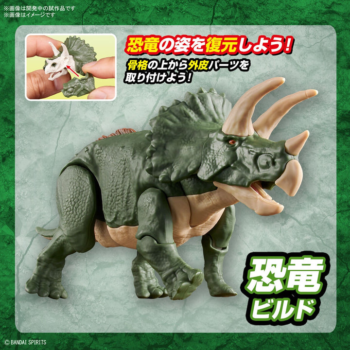 Real Science - Plannosaurus Triceratops Model Kit