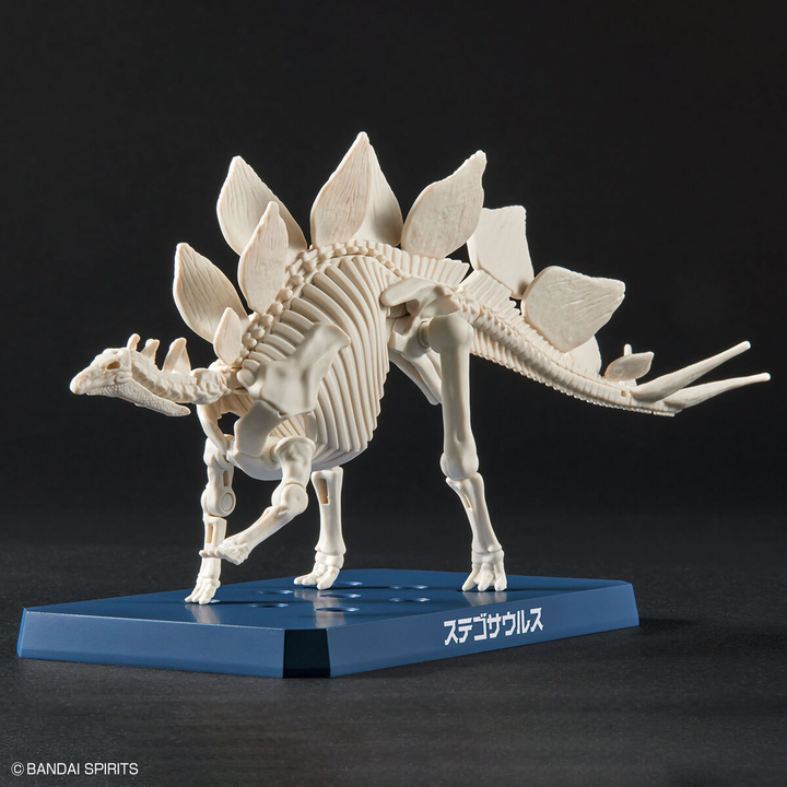 Real Science - Plannosaurus Stegosaurus Model Kit