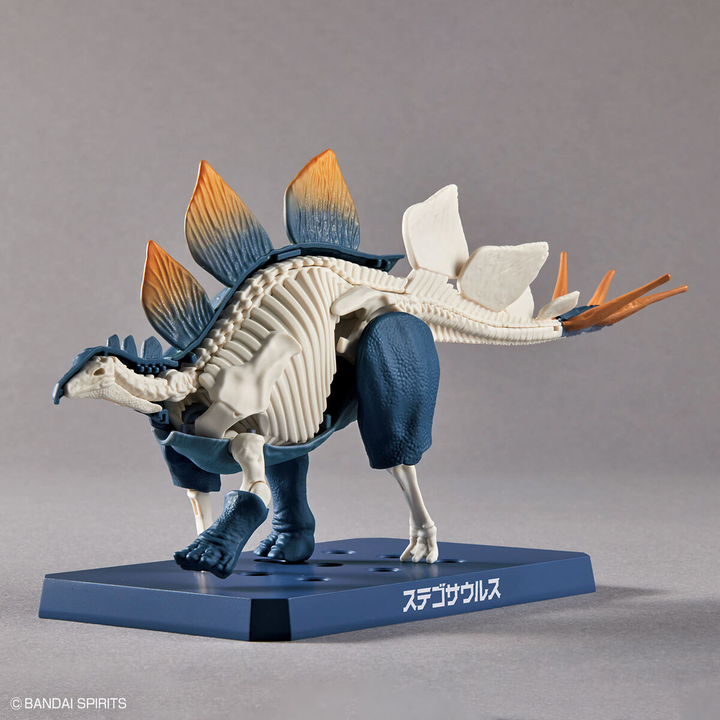 Real Science - Plannosaurus Stegosaurus Model Kit