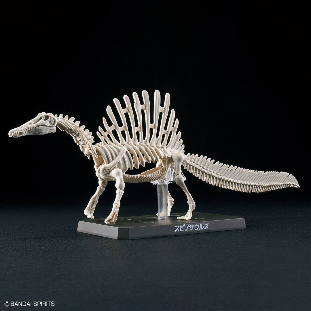 Real Science - Plannosaurus Spinosaurus