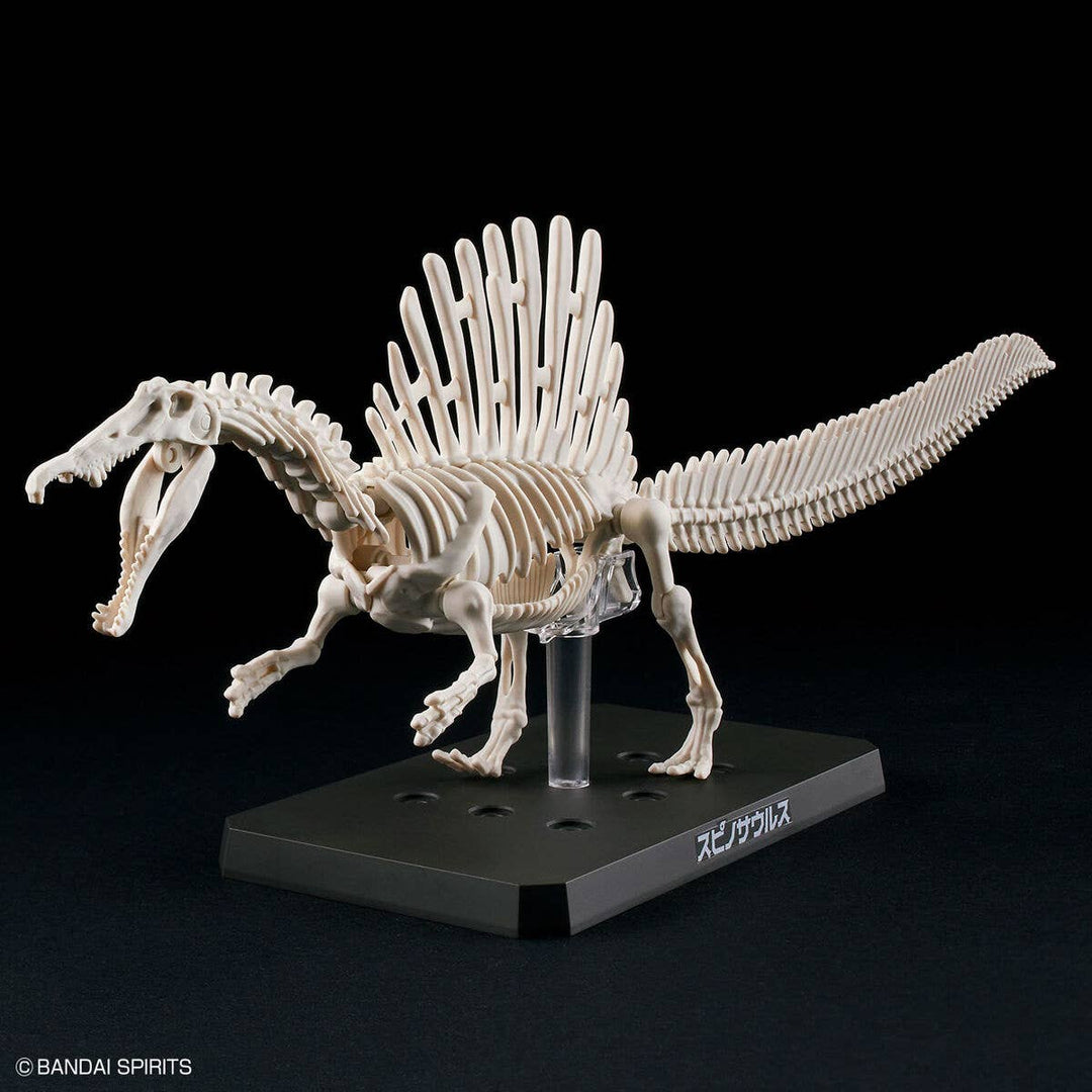 Real Science - Plannosaurus Spinosaurus
